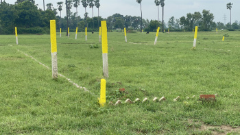  Residential Plot for Sale in Bihta, Patna