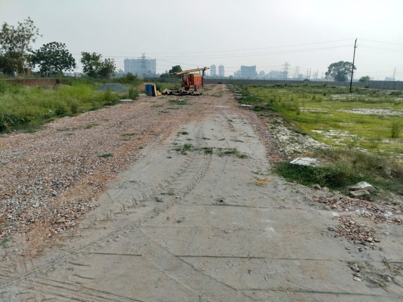 Other Image