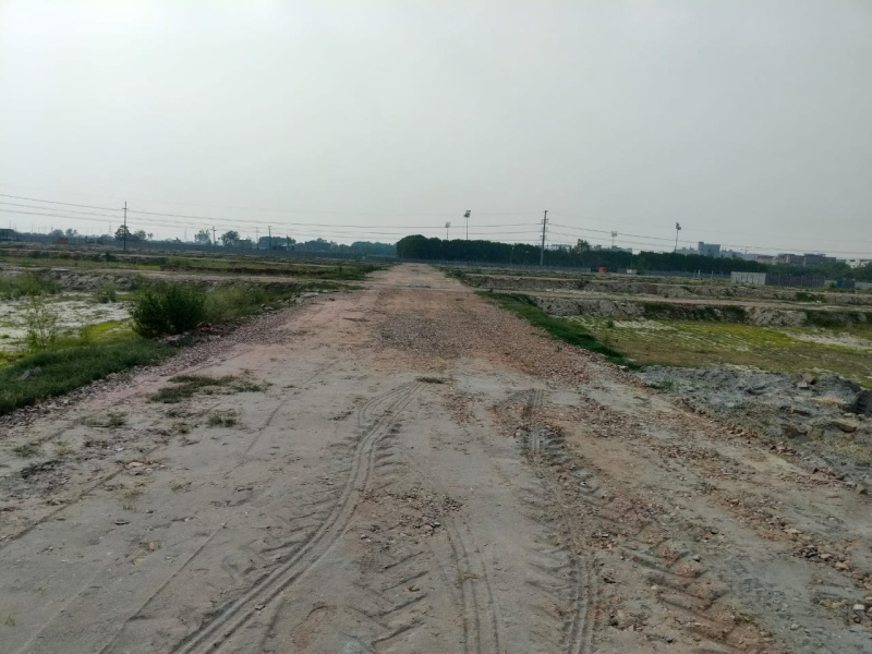 Other Image
