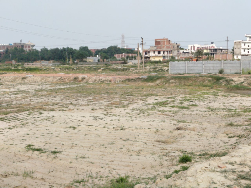 Other Image