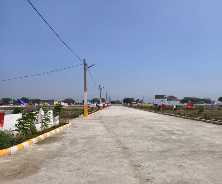Dankaur, Gautam Buddha Nagar photo 5