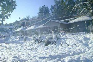  Guest House for Sale in Kausani, Almora