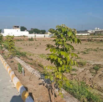  100 Sq. Yards Residential Plot for Sale in Yamuna Expressway, Greater Noida