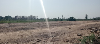  Residential Plot for Sale in Badowala, Dehradun