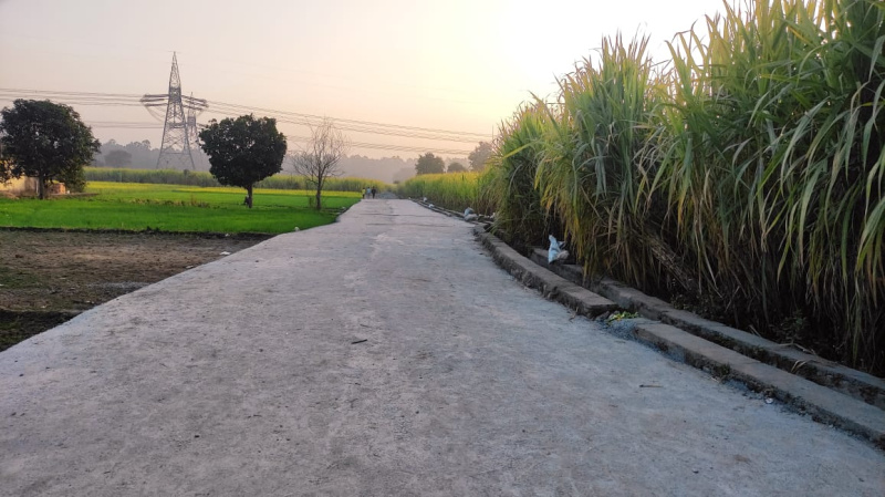  Residential Plot 100 Sq. Yards for Sale in Ranipokhari, Dehradun