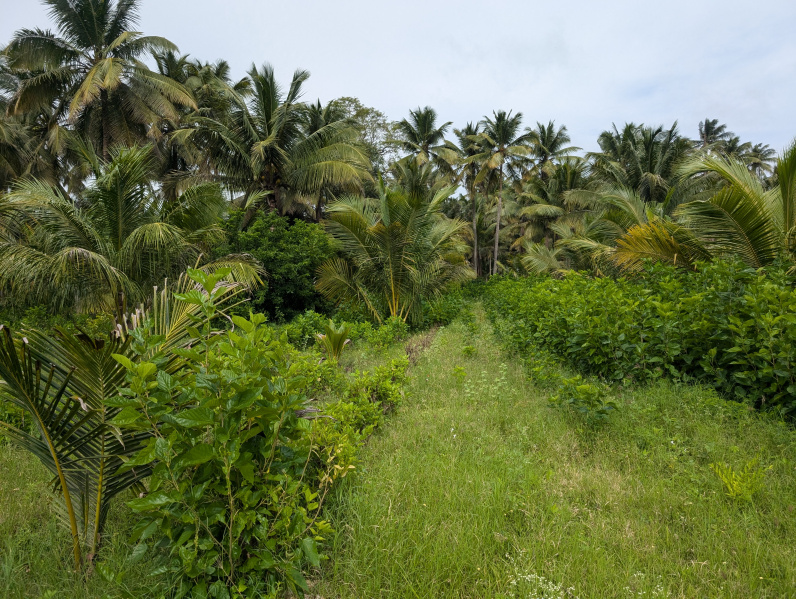  Agricultural Land 2 Acre for Sale in Kinathukadavu, Coimbatore