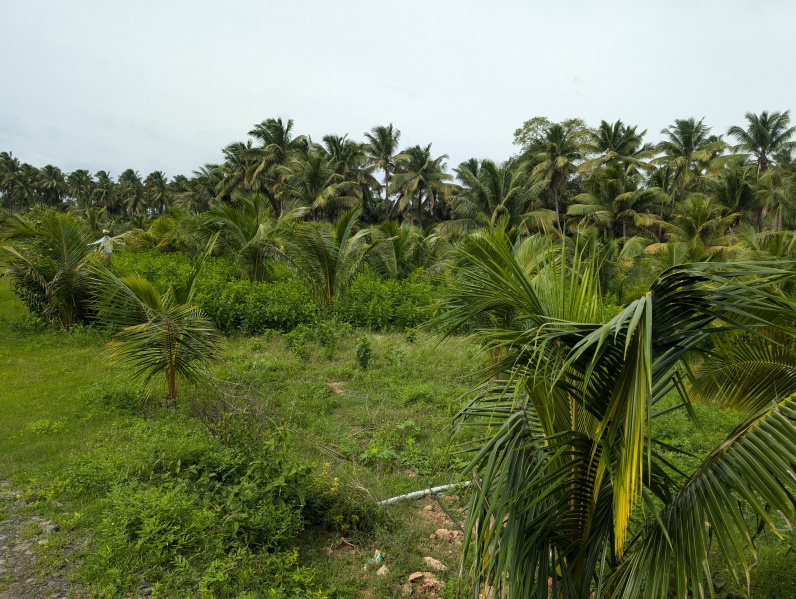  Agricultural Land 2 Acre for Sale in Kinathukadavu, Coimbatore