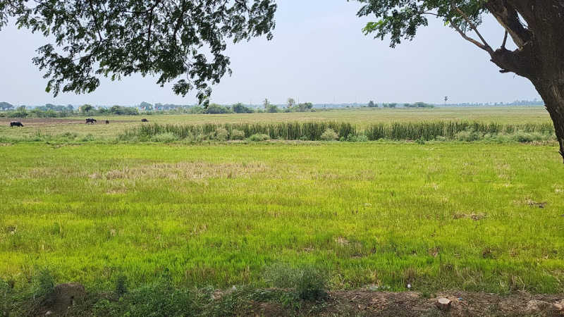  Agricultural Land 2 Acre for Sale in Annavaram, East Godavari