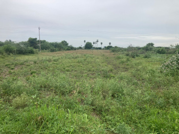  Agricultural Land for Sale in Aruppukkottai, Virudhunagar