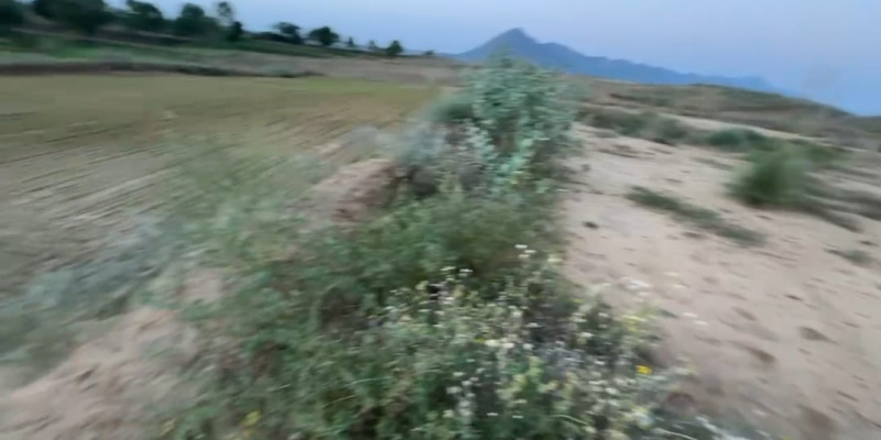 Pushkar, Ajmer photo 5