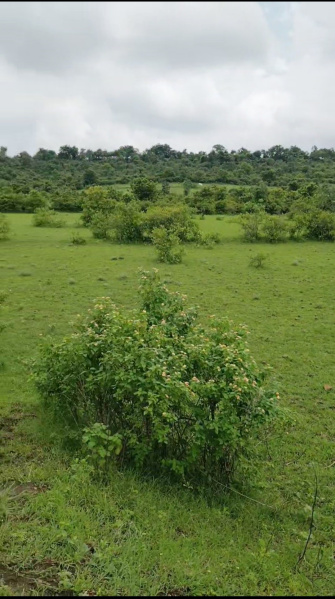  Agricultural Land 4 Ares for Sale in Katol, Nagpur