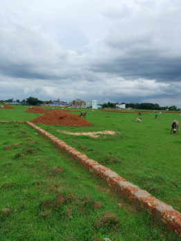  Residential Plot for Sale in Trisulia Chhak, Cuttack