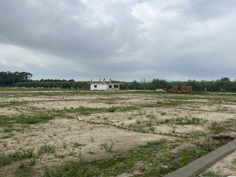  Residential Plot 150 Sq. Yards for Sale in Dehradun Road, Saharanpur