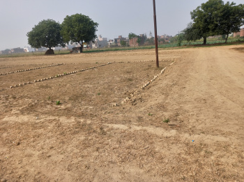  Residential Plot for Sale in Tilak Nagar, Auraiya