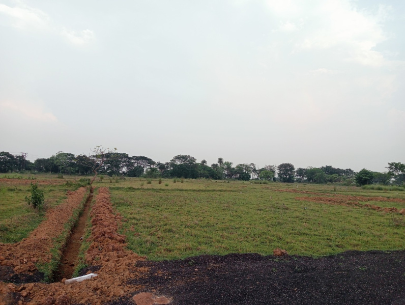 Andal, Durgapur photo 5
