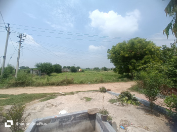  Residential Plot for Sale in Tigaon, Faridabad