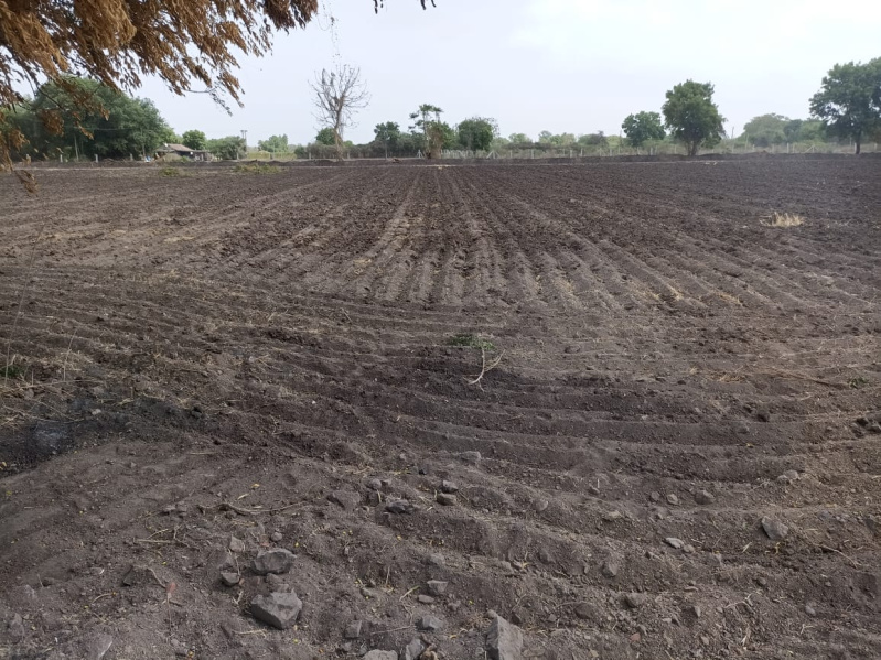  Agricultural Land 2 Acre for Sale in Metoda, Rajkot