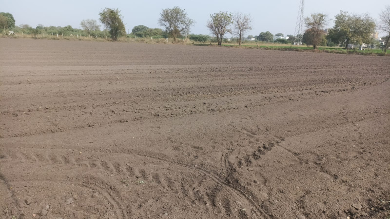  Agricultural Land 2 Acre for Sale in Metoda, Rajkot