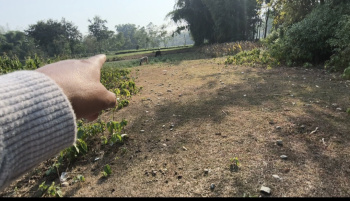  Residential Plot for Sale in Naxalbari, Darjeeling