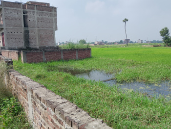  Residential Plot for Sale in Jaganpura Road, Patna