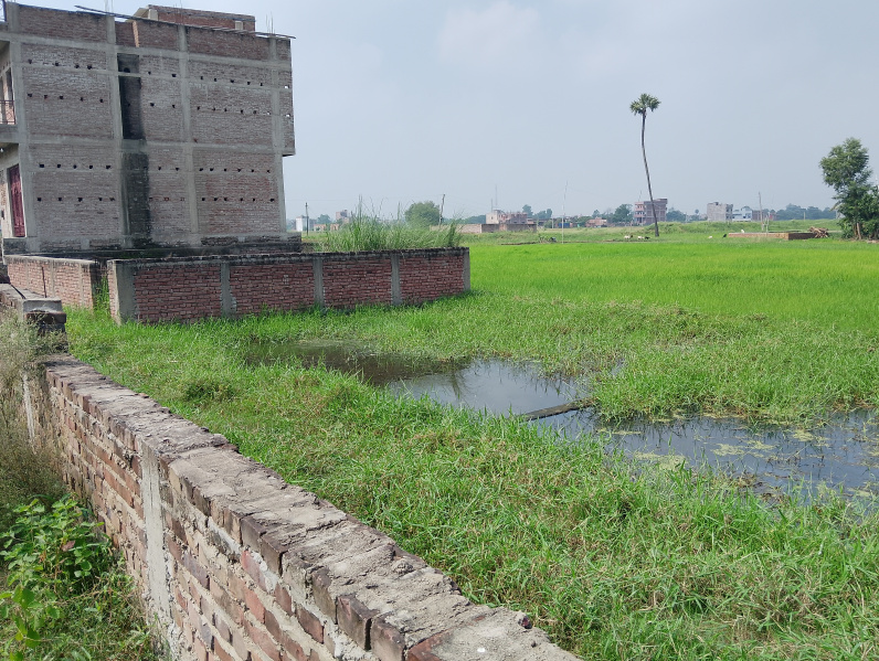  Residential Plot 1100 Sq.ft. for Sale in Jaganpura Road, Patna