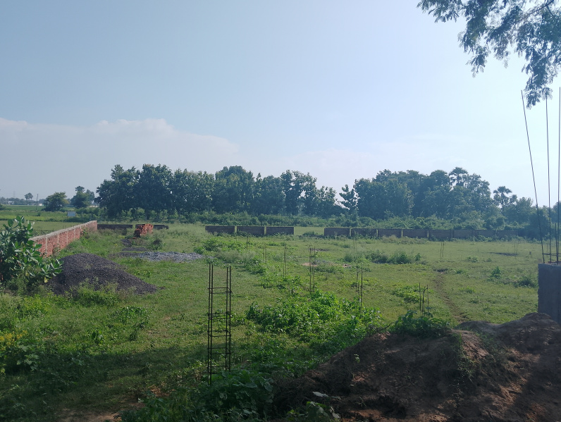  Residential Plot 1200 Sq.ft. for Sale in Bihta, Patna