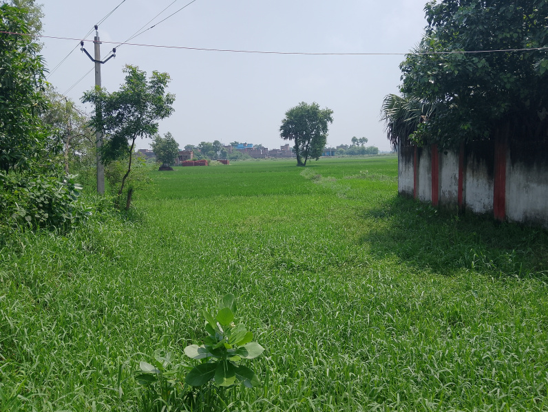  Residential Plot 4 Katha for Sale in Dariyapur, Patna