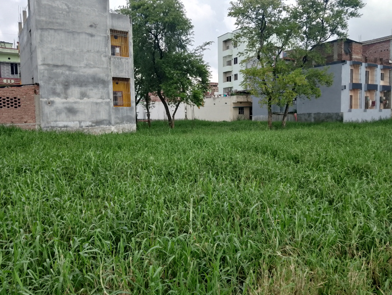  Residential Plot 1571 Sq.ft. for Sale in Bhagwat Nagar, Patna