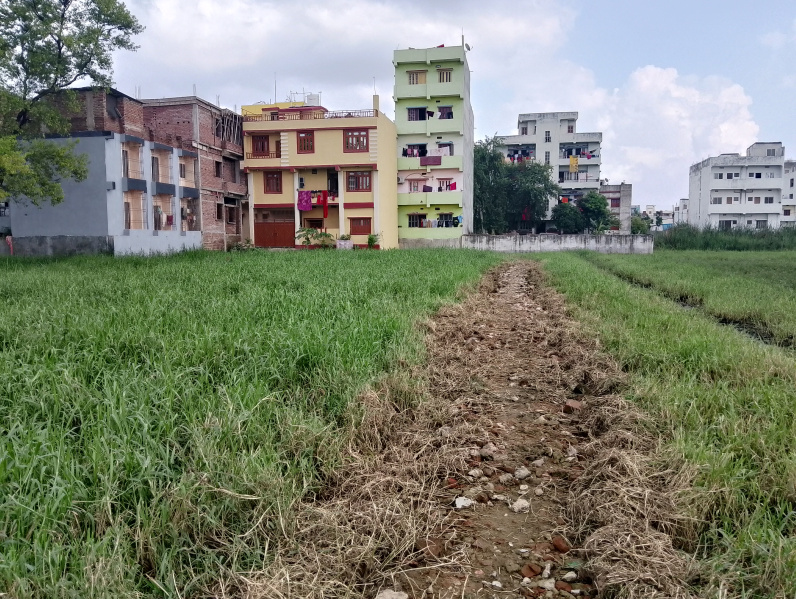  Residential Plot 1571 Sq.ft. for Sale in Bhagwat Nagar, Patna