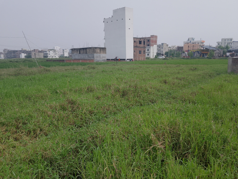  Residential Plot 680 Sq.ft. for Sale in Jaganpura Road, Patna