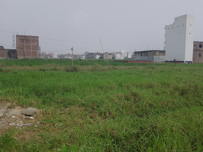  Residential Plot 680 Sq.ft. for Sale in Jaganpura Road, Patna