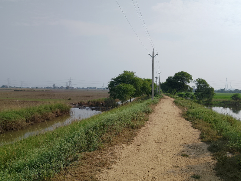  Residential Plot 25 Katha for Sale in Beldari Chak, Patna