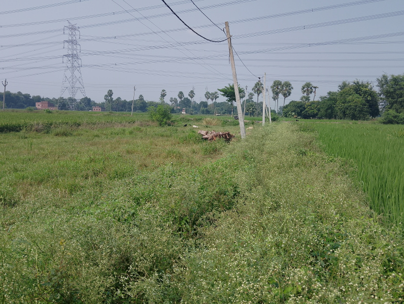  Residential Plot 2 Katha for Sale in Sampatchak, Patna