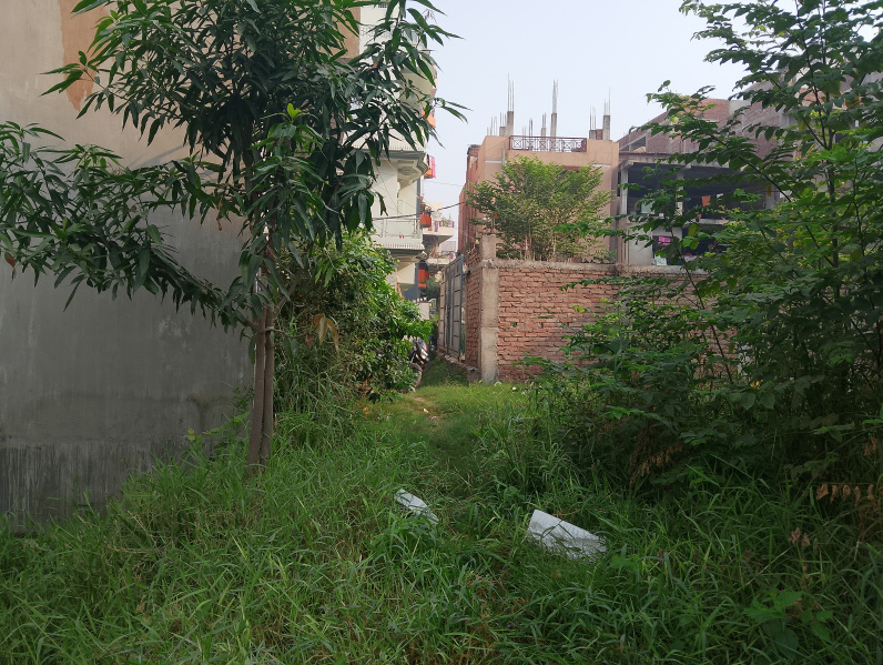  Residential Plot 837 Sq.ft. for Sale in Bajrang Puri, Patna