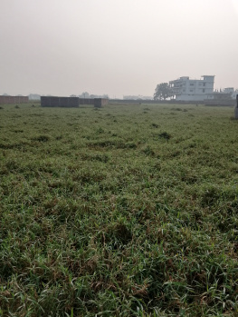  Residential Plot for Sale in Phulwari Sharif, Patna