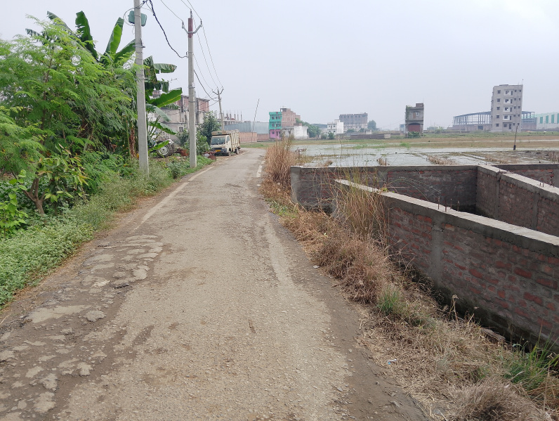  Residential Plot 3850 Sq.ft. for Sale in Paijawa, Patna