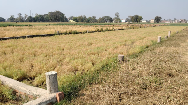  Residential Plot 1200 Sq.ft. for Sale in Punpun, Patna