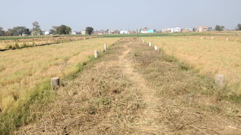  Residential Plot 1200 Sq.ft. for Sale in Punpun, Patna