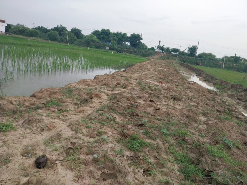  Residential Plot 1300 Sq.ft. for Sale in Patliputra Colony, Patna