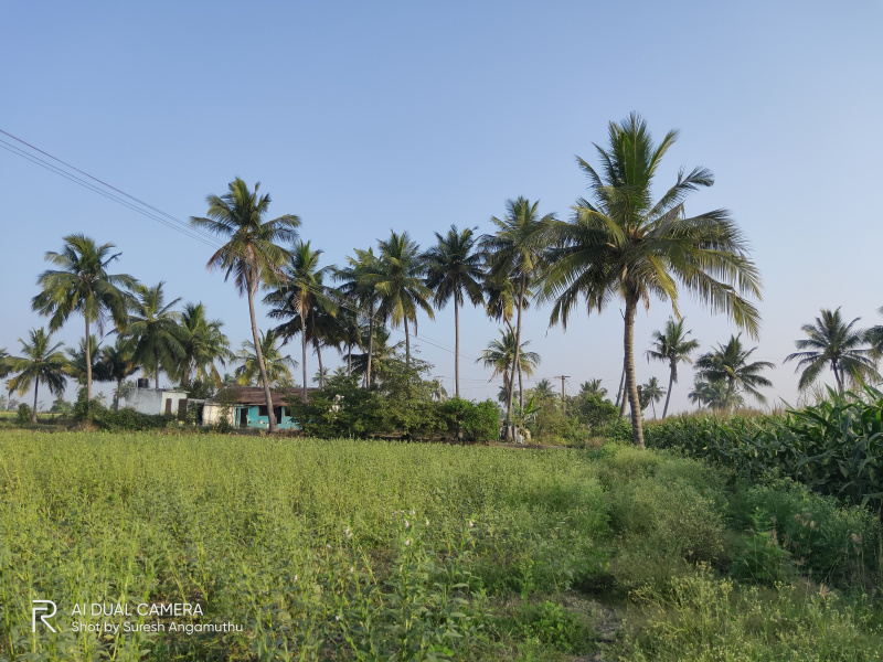  Agricultural Land 3 Acre for Sale in Kallakurichi, Villupuram