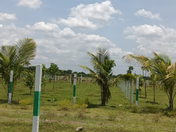  Agricultural Land for Sale in Ramapuram, Chennai