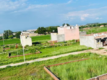  Residential Plot for Sale in Sector 11 Mohali