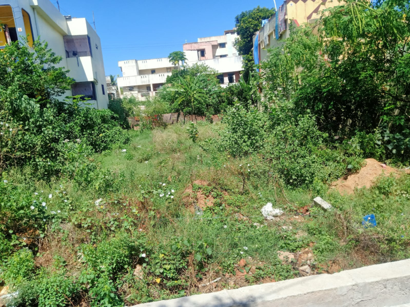  Residential Plot 3600 Sq.ft. for Sale in Podalakur Road, Nellore