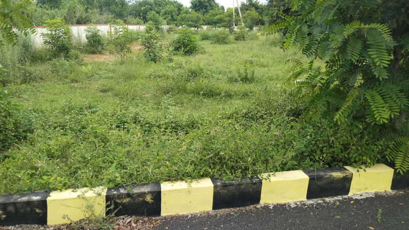  Residential Plot 174 Sq. Yards for Sale in Gunupur Peta, Vizianagaram