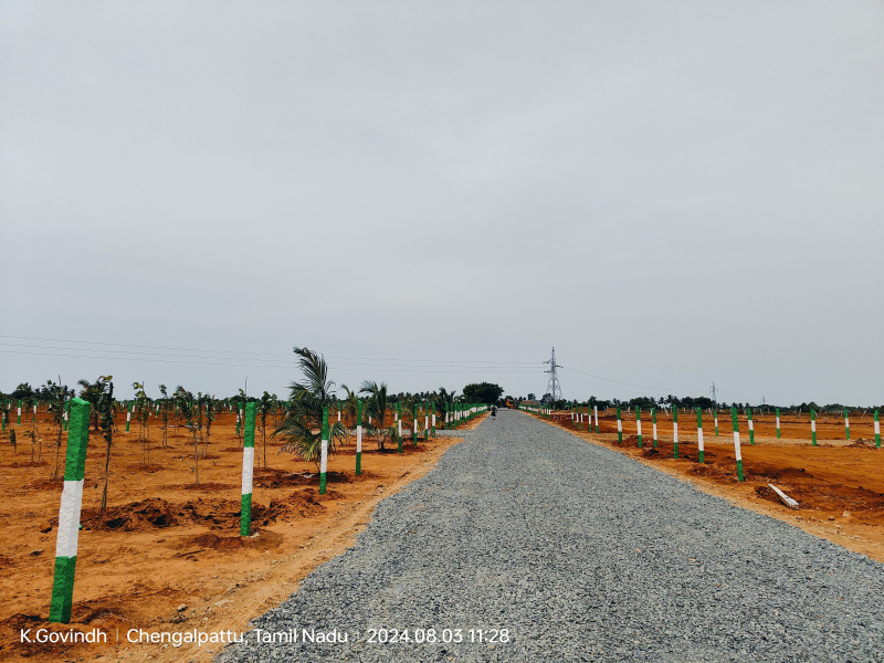  Agricultural Land 9600 Sq.ft. for Sale in Madurantakam, Chennai