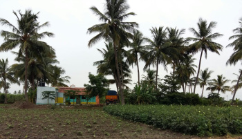  Agricultural Land for Sale in Kallakurichi, Villupuram