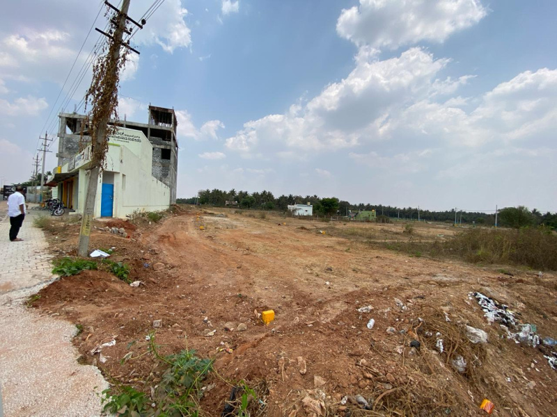  Commercial Land 1000 Sq.ft. for Sale in Hirisave, Hassan