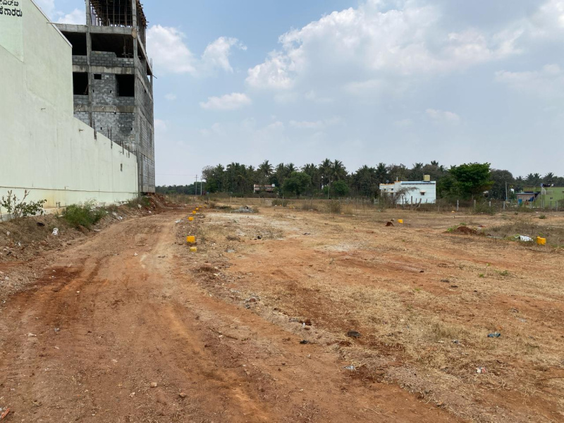  Commercial Land 1000 Sq.ft. for Sale in Hirisave, Hassan