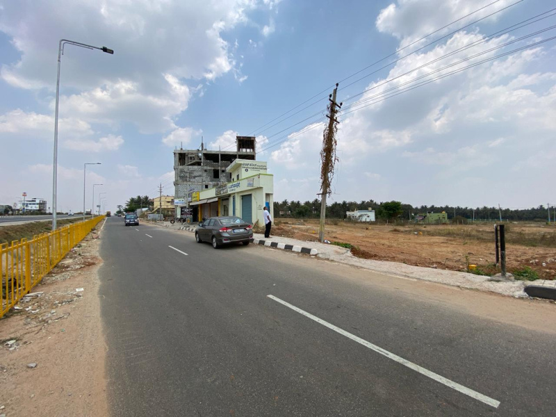  Commercial Land 1000 Sq.ft. for Sale in Hirisave, Hassan