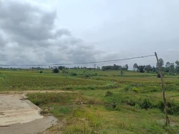  Residential Plot for Sale in Arkalgud, Hassan